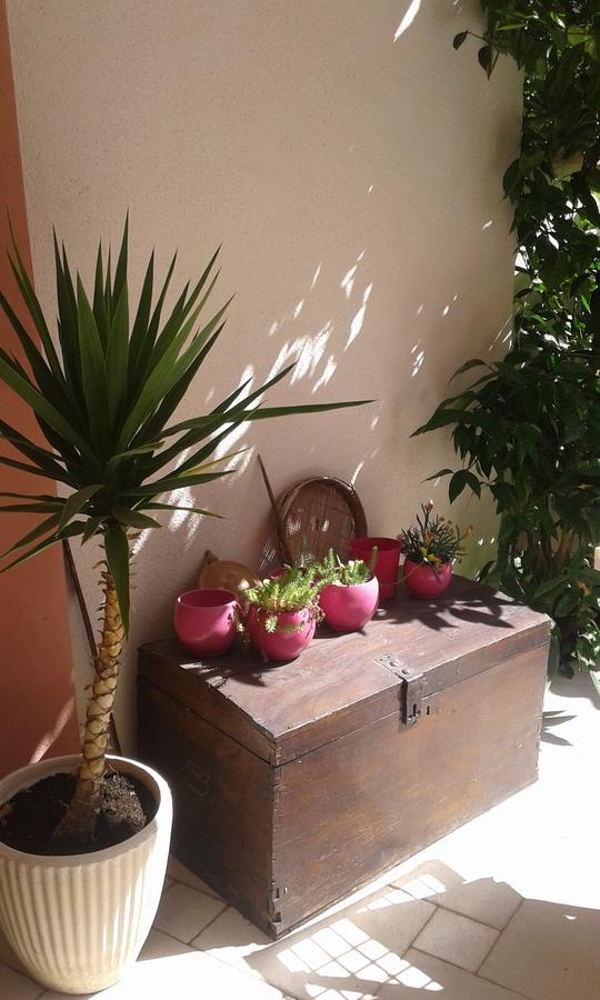 Apartment Elda Petrcane Esterno foto